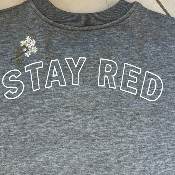 Red Valentino sweater with Embroidered Heron and Black Tulle - Picture 5 of 6